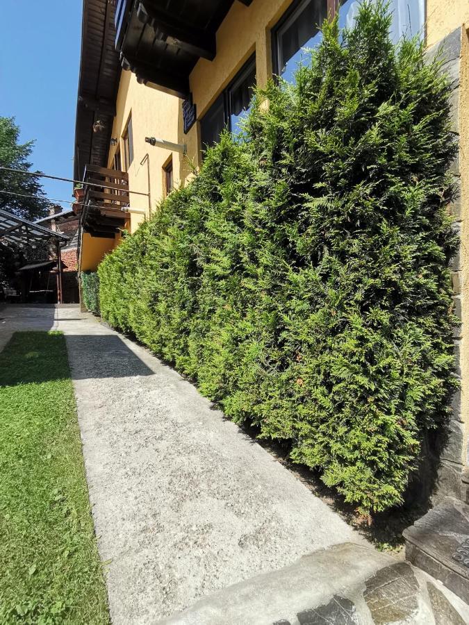 Shelby Accommodation -Adult Only- Синая Экстерьер фото