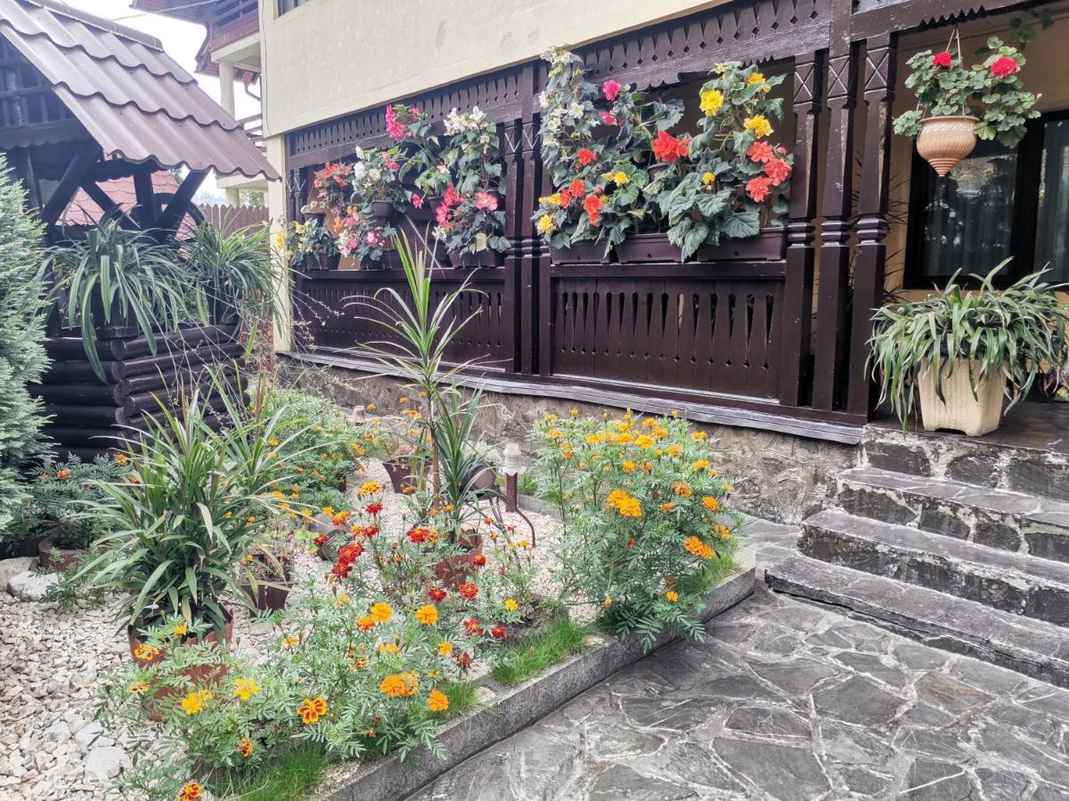 Shelby Accommodation -Adult Only- Синая Экстерьер фото