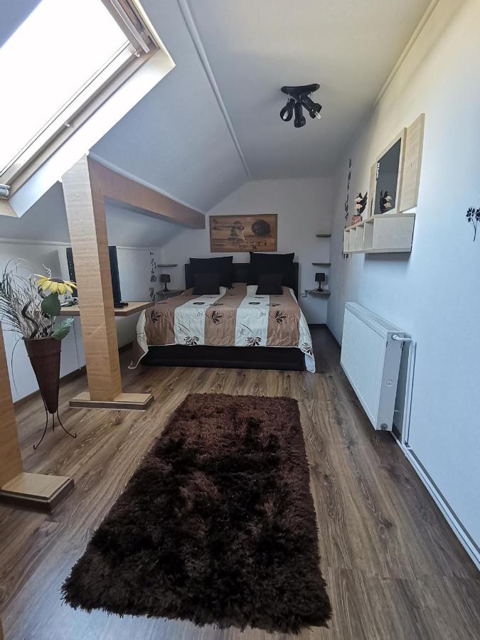 Shelby Accommodation -Adult Only- Синая Номер фото